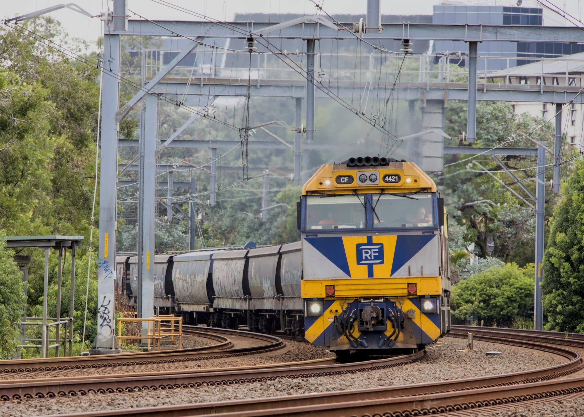 Grey, yellow and blue freight locomotive hauling a long line of grey coal hoppers around a curve, under wires with the track flanked by greenery. Some buildings are visible in the background