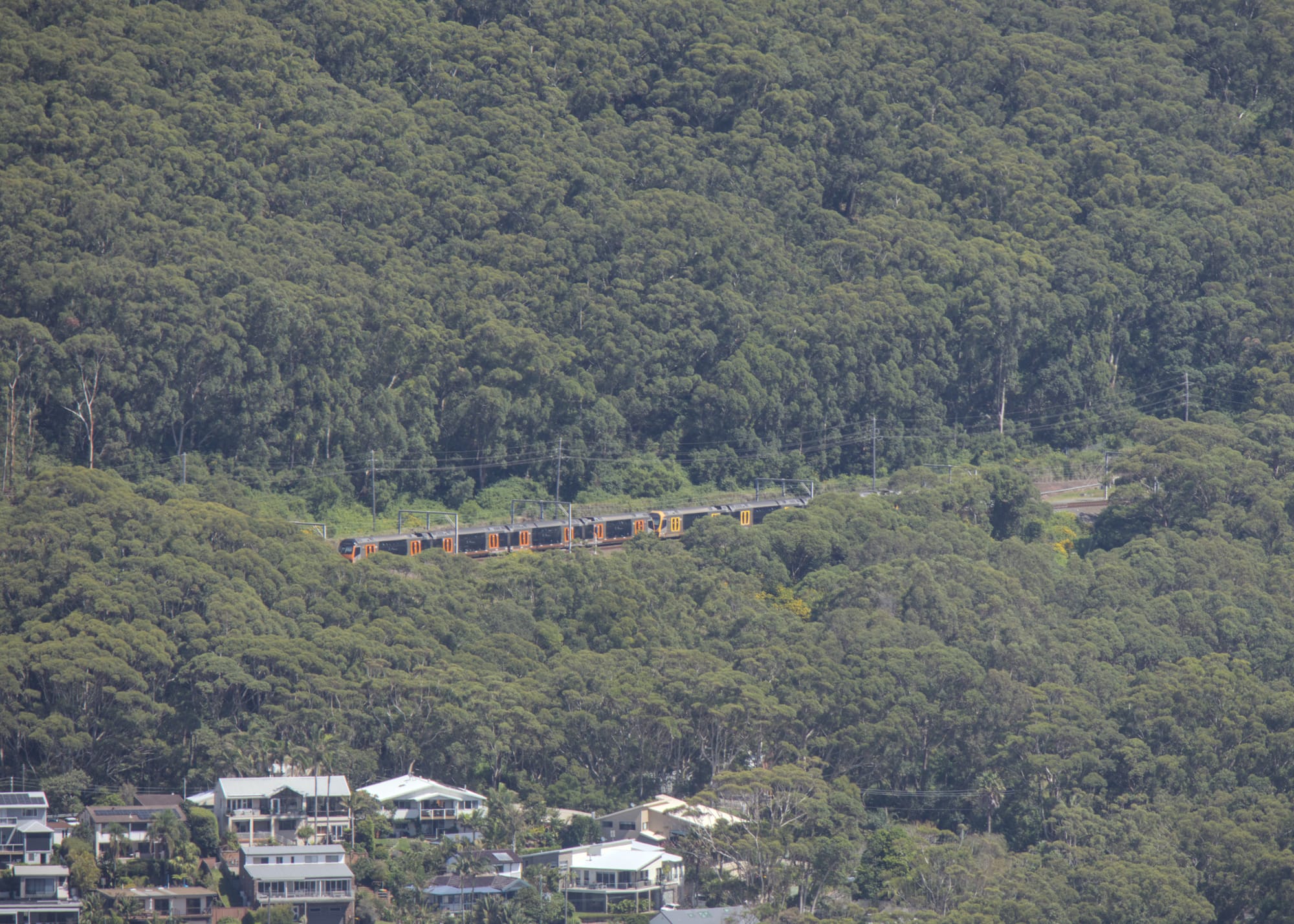 Distant OScar winding through dense bushland above a cluster of hillside homes