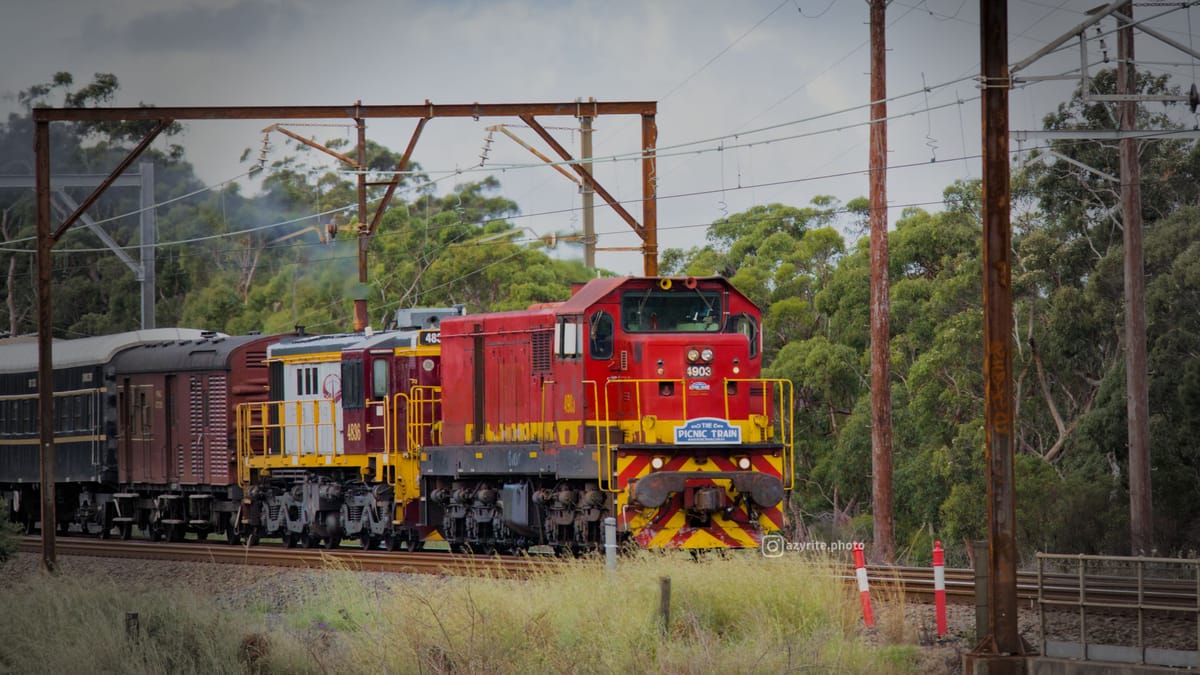 A bright red diesel locomotive with a blue headboard reading "The Picnic Train" hauls a heritage passenger train along a double‑track railway through a bushy area under overcast skies
