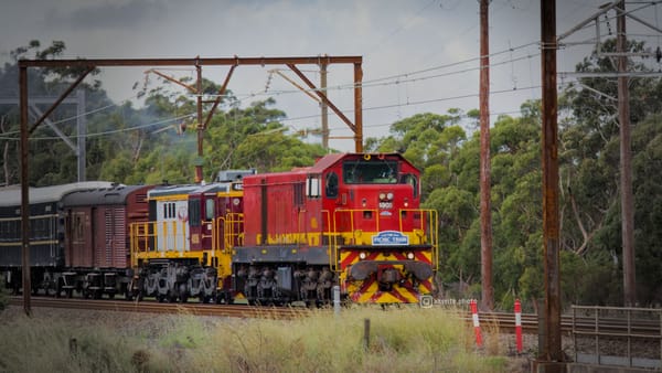 A bright red diesel locomotive with a blue headboard reading "The Picnic Train" hauls a heritage passenger train along a double‑track railway through a bushy area under overcast skies